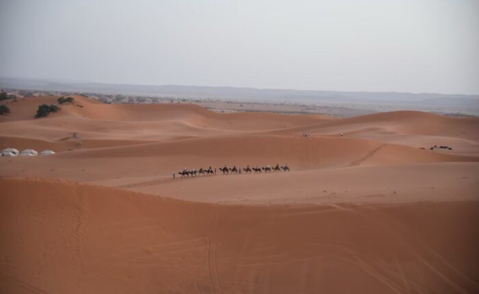 8 Days Tour From Marrakech to Casablanca