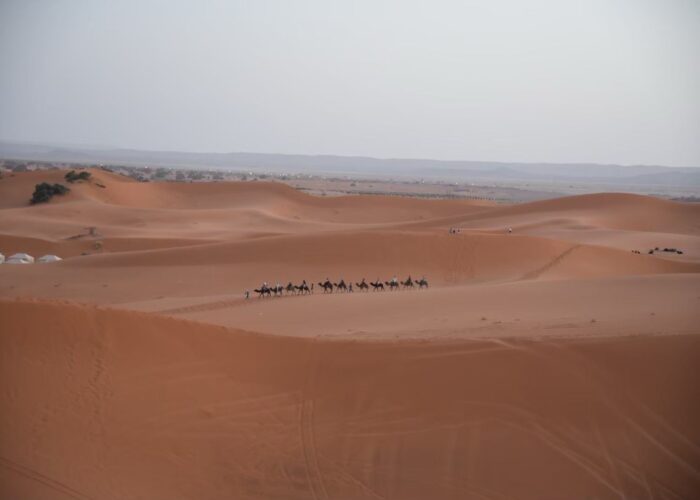 8 Days Tour From Marrakech to Casablanca