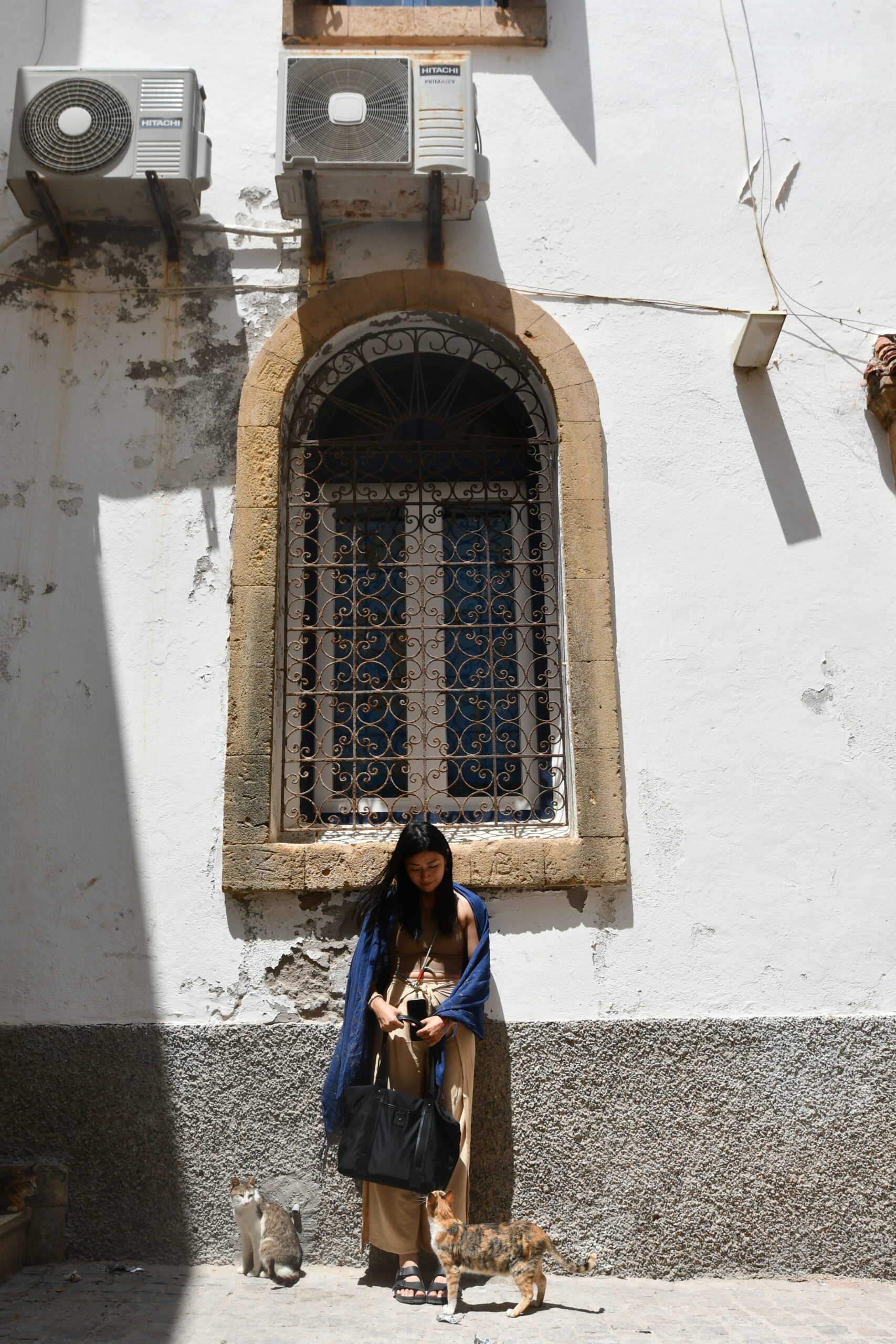 Beautiful Asian lady with cute cats in Essaouira Medina