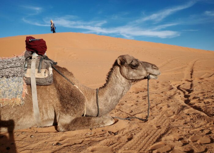 4 Days Tour From Fes to Marrakech