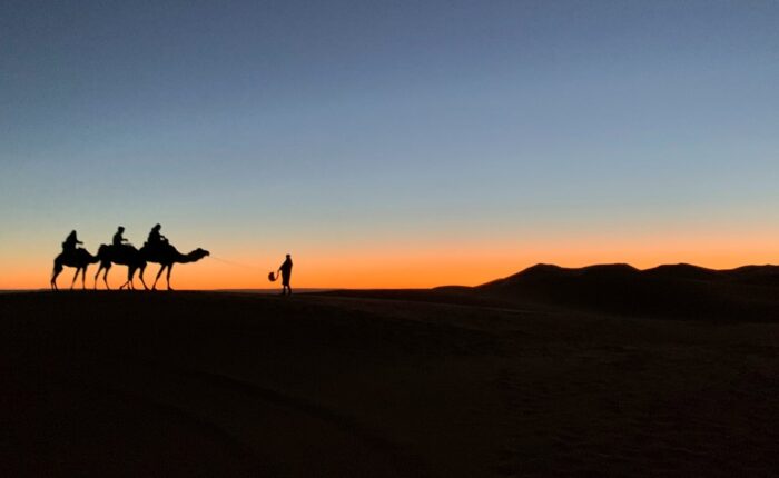 Camel Trekking in Merzouga