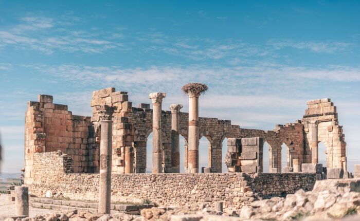 Roman ruin Volubilis Day Trip