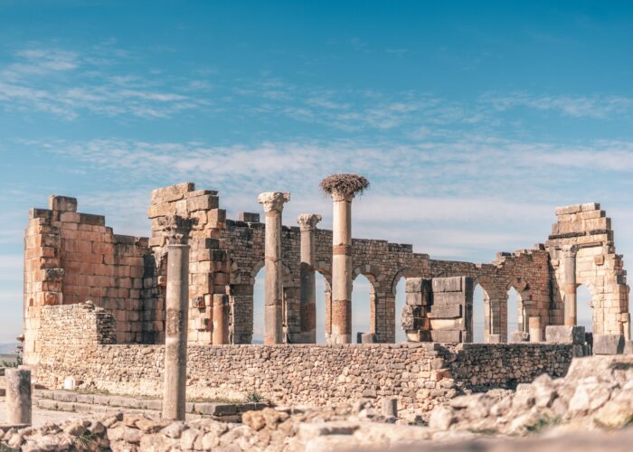 Roman ruin Volubilis Day Trip